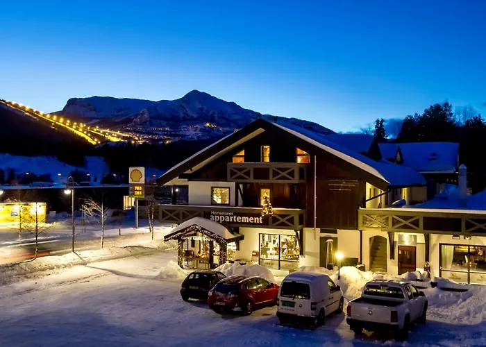 Hemsetunet Apartments